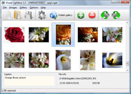 perl java new window pop up 3 Column Photo Gallery Mouseover Script