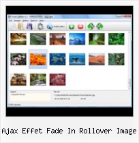 Ajax Effet Fade In Rollover Image popup window vertical scrollbar hide script