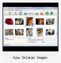 Ajax Enlarge Images pop up box mouse over