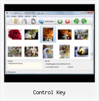 Control Key java open in window