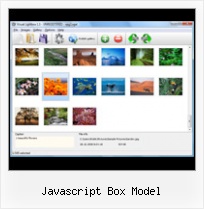 Javascript Box Model open in popup venster