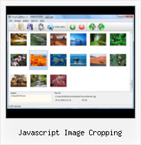 Javascript Image Cropping delayed on entry pop up script