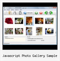 Javascript Photo Gallery Sample javascript code to launch a window