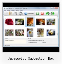 Javascript Suggestion Box multiple different sized popup windows