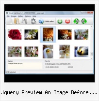 Jquery Preview An Image Before Upload pop up java window