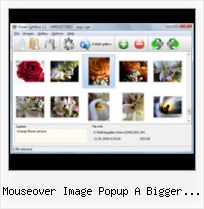 Mouseover Image Popup A Bigger Image popup close