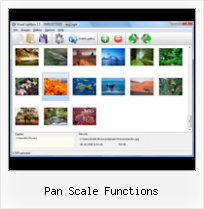 Pan Scale Functions popup window in javascript as modal