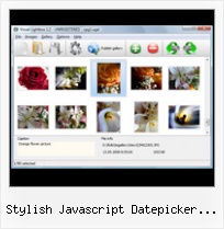 Stylish Javascript Datepicker Example pop objects in javascript