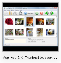 Asp Net 2 0 Thumbnailviewer Example java script popup close