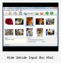 Hide Unhide Input Box Html javascript automatic sizing pop up