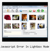 Javascript Error In Lightbox Mode popup window in javascript with parameters