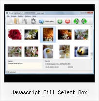 Javascript Fill Select Box help popup style