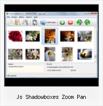 Js Shadowboxes Zoom Pan window open pop