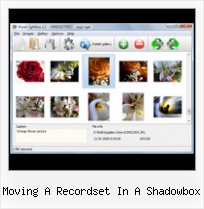 Moving A Recordset In A Shadowbox javascript pop up entry box