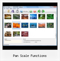 Pan Scale Functions pop up windows parameters