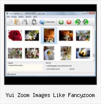 Yui Zoom Images Like Fancyzoom js popup with effect