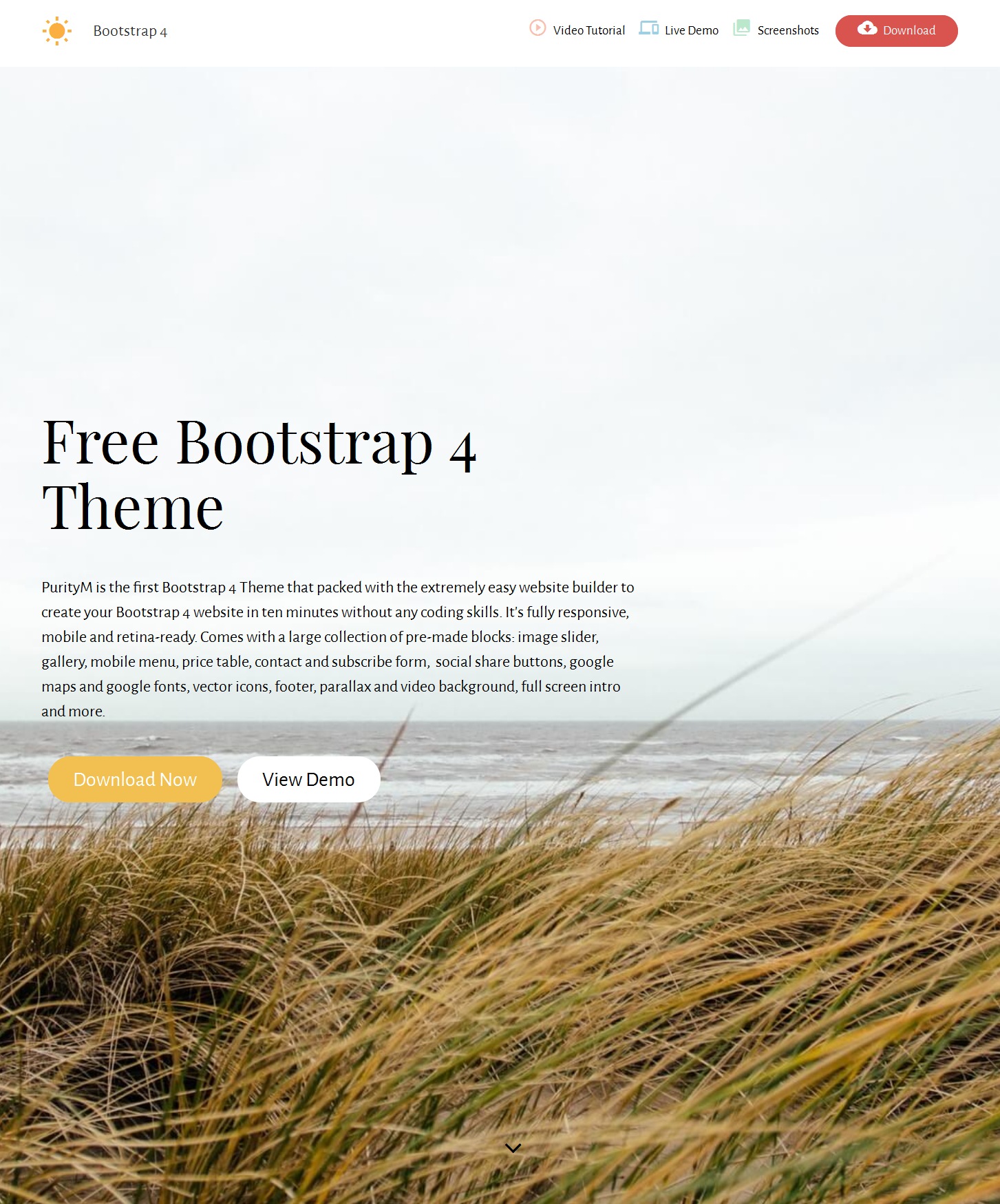 HTML Bootstrap Education Theme