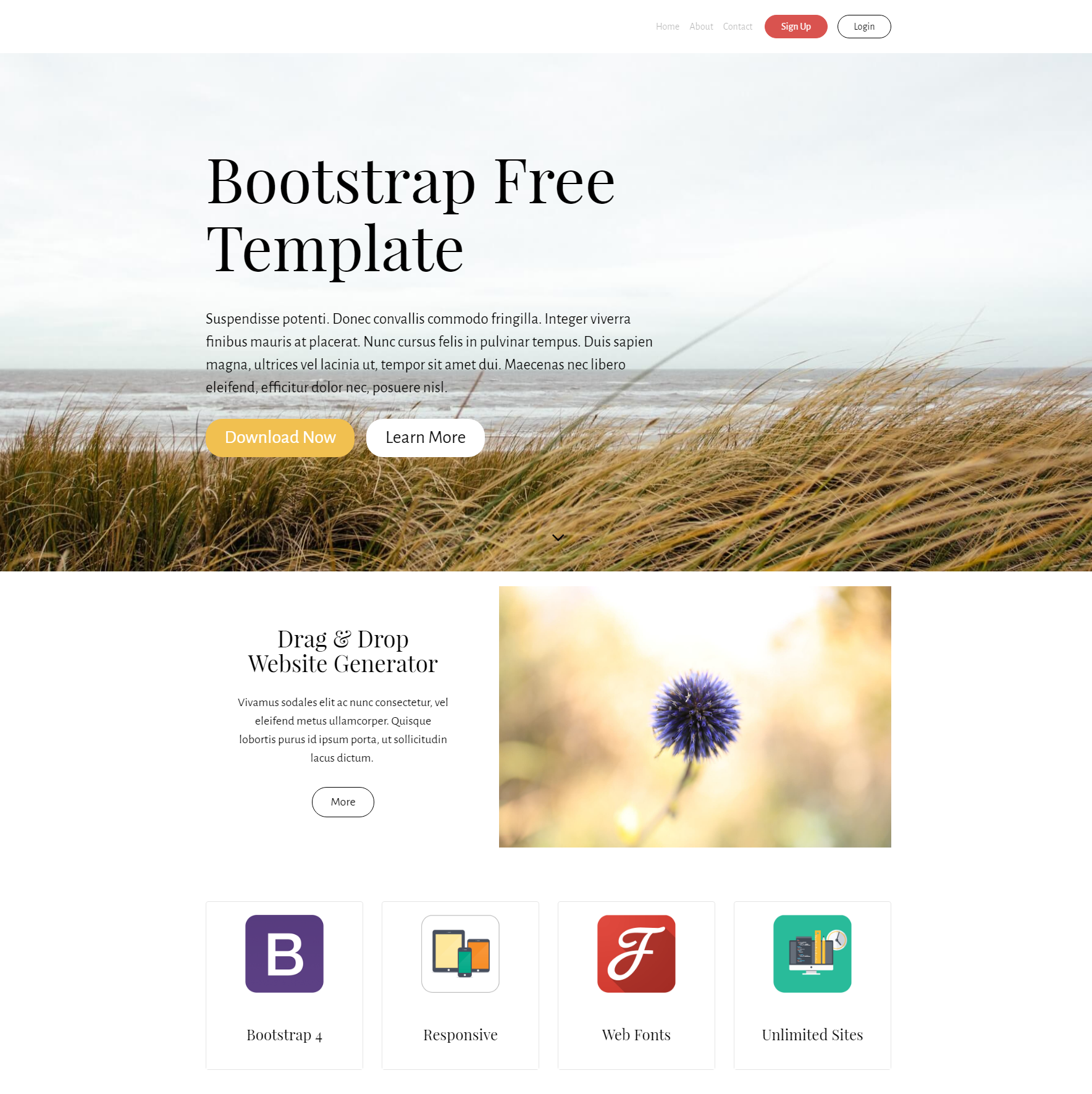 HTML5 Bootstrap PurityM Themes