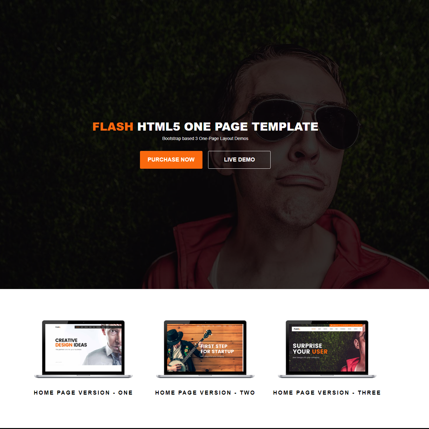 Free Bootstrap Flash Templates